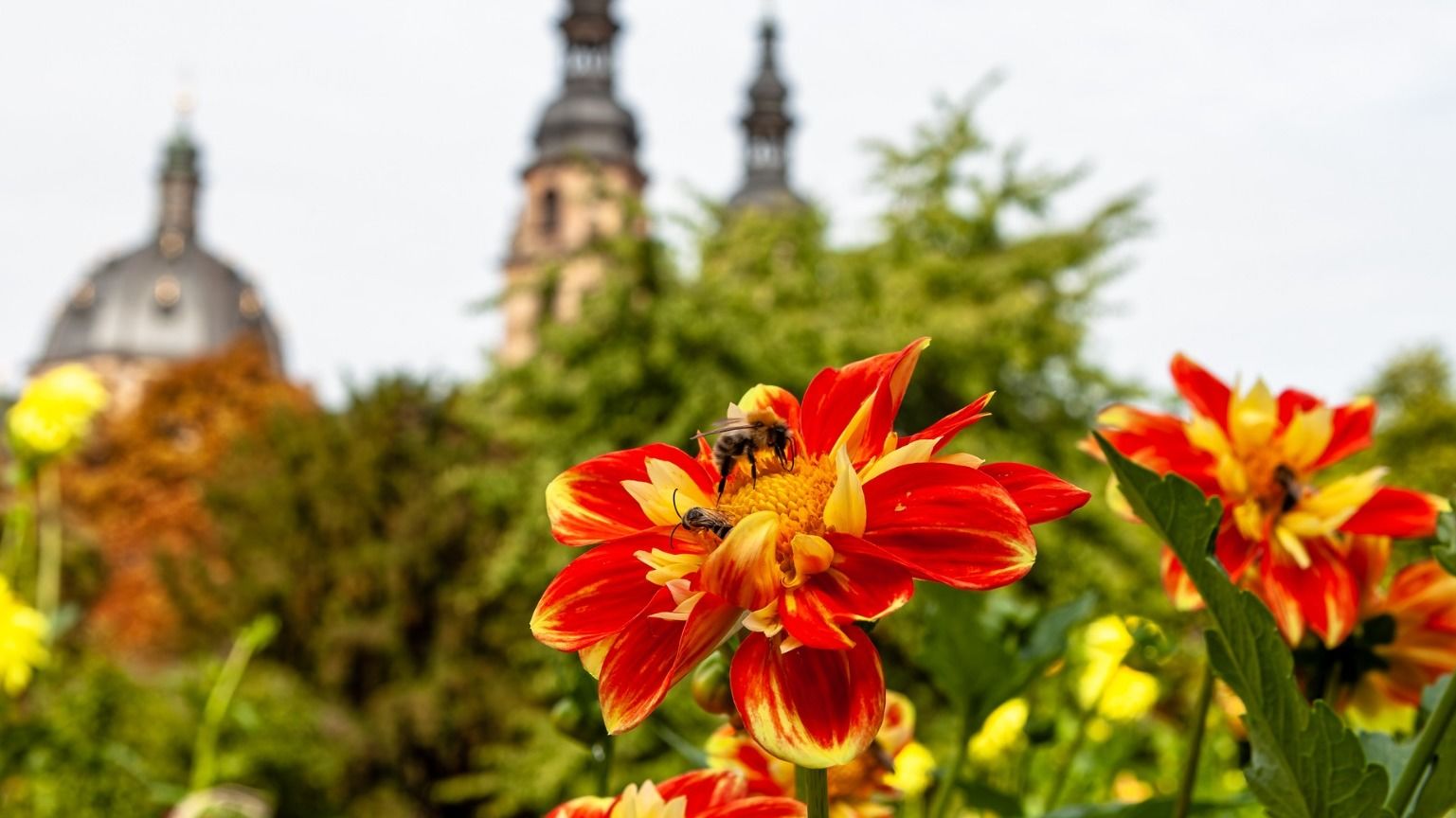 Rahmen-Programm des Bistums Fulda zur Landesgartenschau